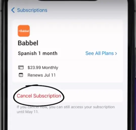 how to cancel Babbel Subscription open cancel subscription.webp