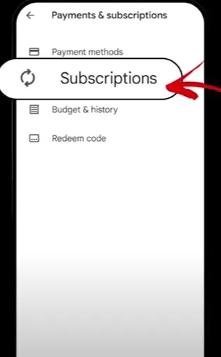 how to cancel Rhapsody Subscription open Subscriptions tab.webp