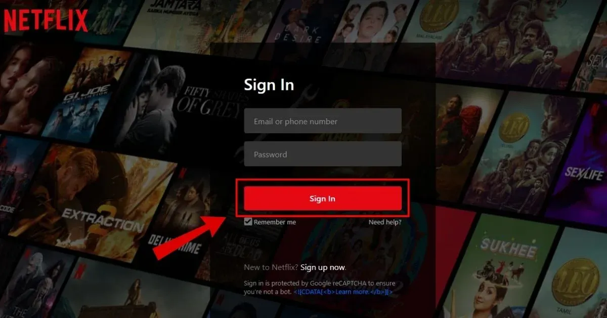 Sign in to your Netflix account.webp