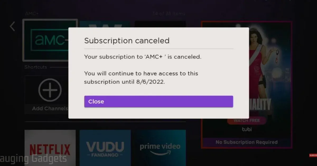 Subscription Canceled Popup Message.webp