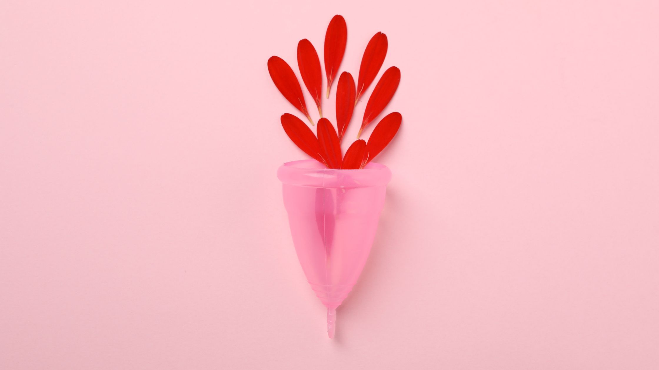 Menstrual cups Everything you need to know Beem